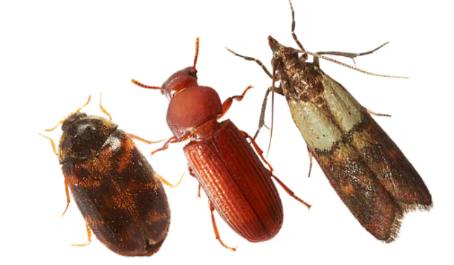 Captura de pantalla 2025-09-20 180728